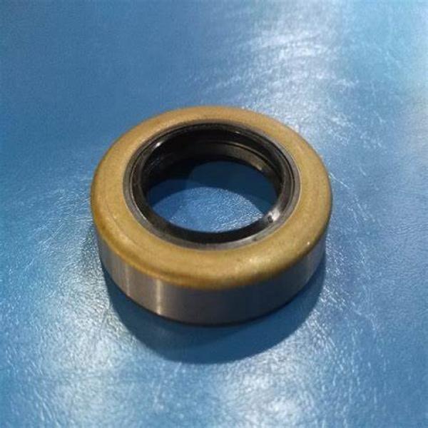 QTDF 40-10 T 40X10X17.8 TDUO Seals #1 image